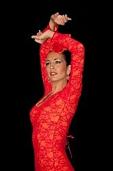 XVI Festival de Baile Español y Flamenco